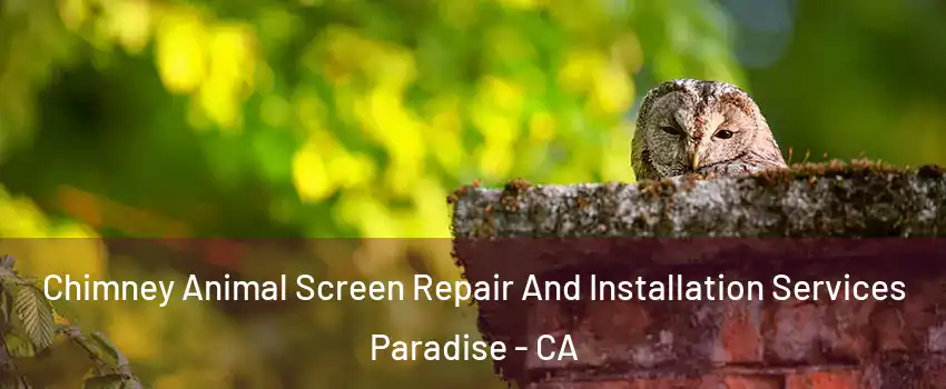  Chimney Animal Screen Repair And Installation Services Paradise - CA