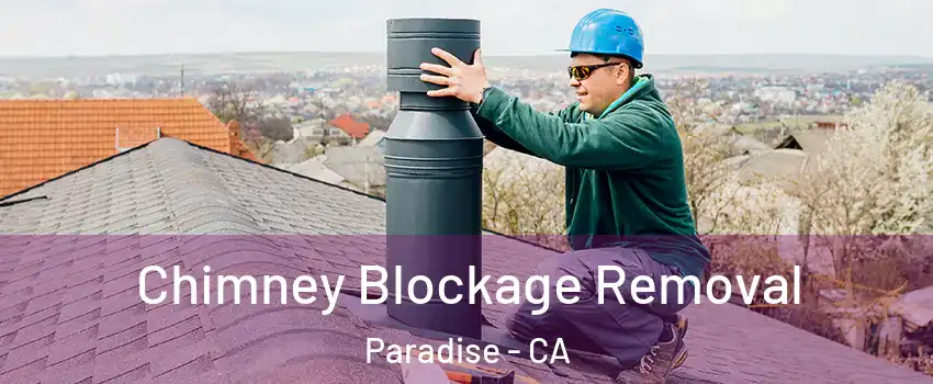  Chimney Blockage Removal Paradise - CA