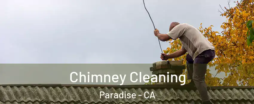  Chimney Cleaning Paradise - CA