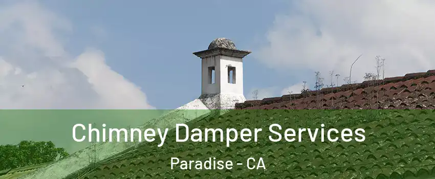  Chimney Damper Services Paradise - CA