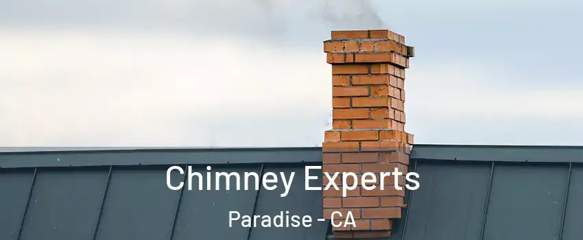 Chimney Experts Paradise - CA