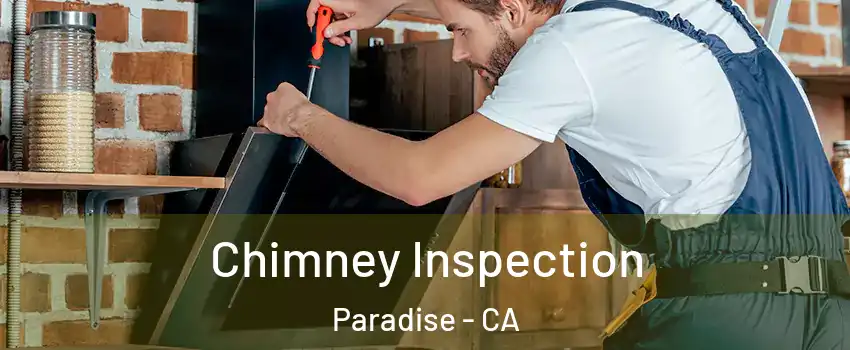  Chimney Inspection Paradise - CA
