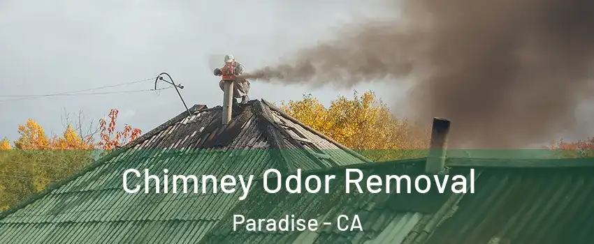 Chimney Odor Removal Paradise - CA