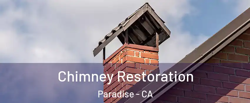  Chimney Restoration Paradise - CA