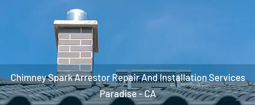  Chimney Spark Arrestor Repair And Installation Services Paradise - CA