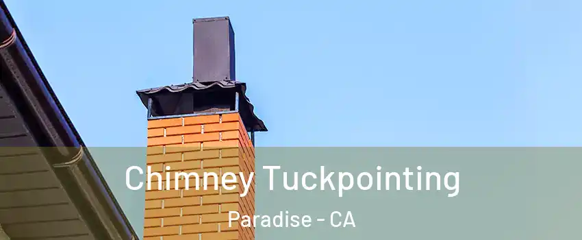  Chimney Tuckpointing Paradise - CA