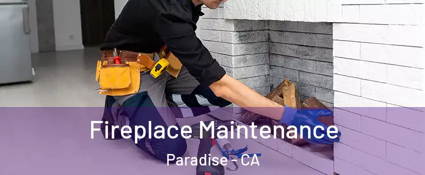  Fireplace Maintenance Paradise - CA
