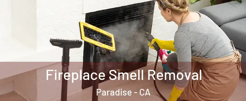  Fireplace Smell Removal Paradise - CA