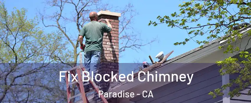  Fix Blocked Chimney Paradise - CA