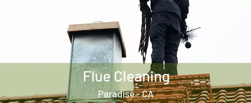  Flue Cleaning Paradise - CA