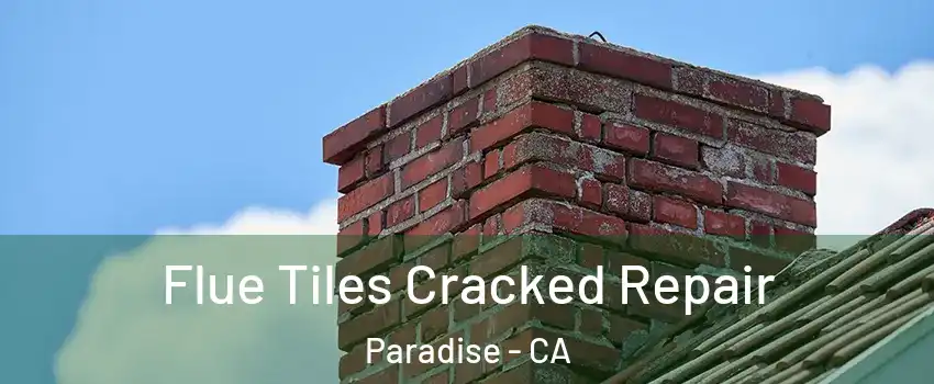  Flue Tiles Cracked Repair Paradise - CA