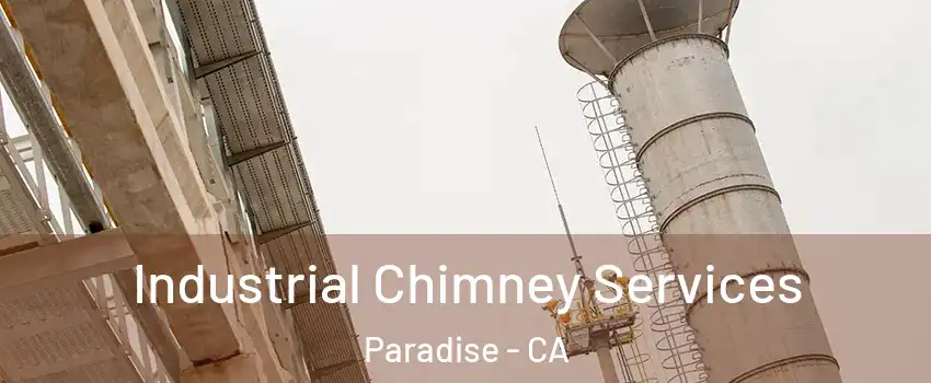  Industrial Chimney Services Paradise - CA