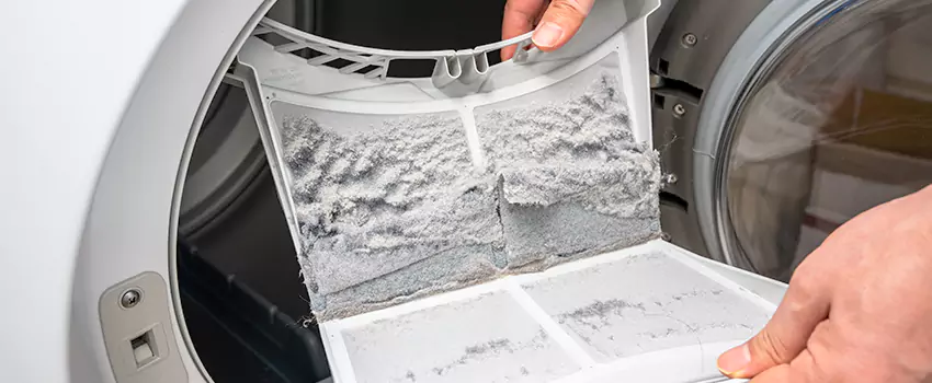 Best Dryer Lint Removal Company in Paradise, California