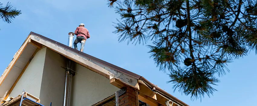Birds Removal Contractors from Chimney in Paradise, CA