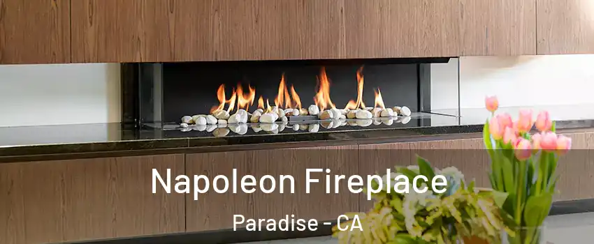  Napoleon Fireplace Paradise - CA